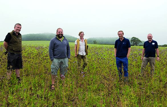 Deepdale Farm staff with friends in a field