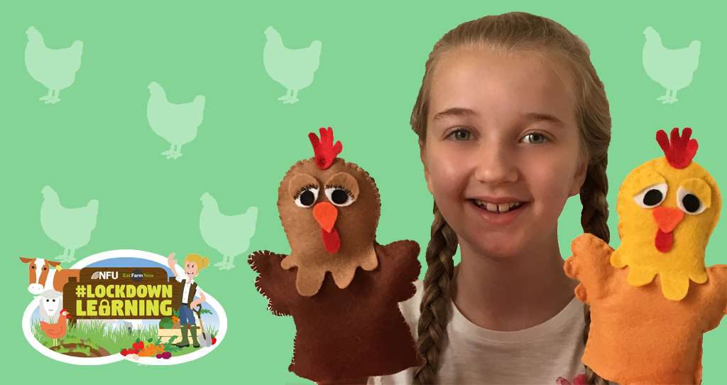 Eat Farm Now – Lockdown Learning Eat Farm Now – Lockdown Learning