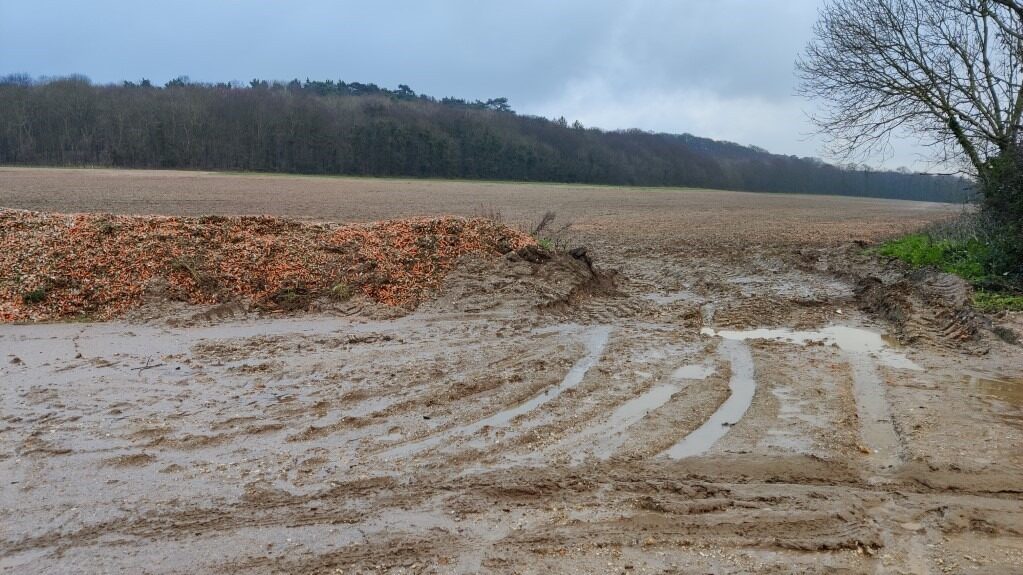 The problem with root veg The problem with root veg