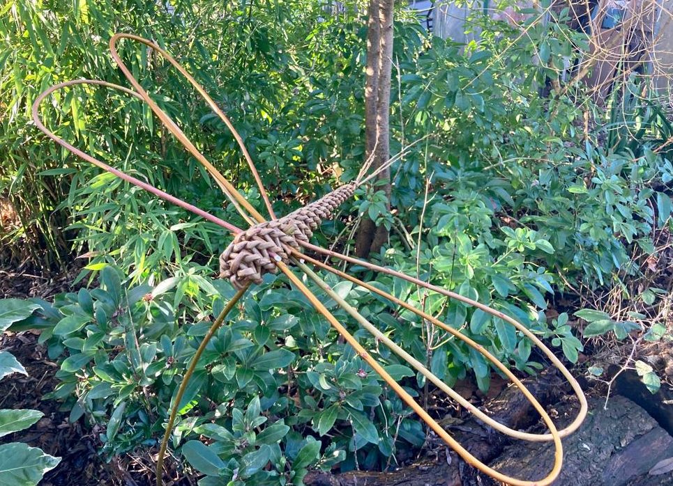 Willow dragonfly