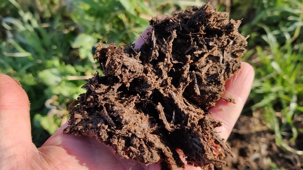 Decomposing straw